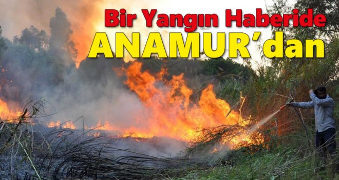 Hatay'dan Sonra Bir Yangın Haberi de Anamur'dan