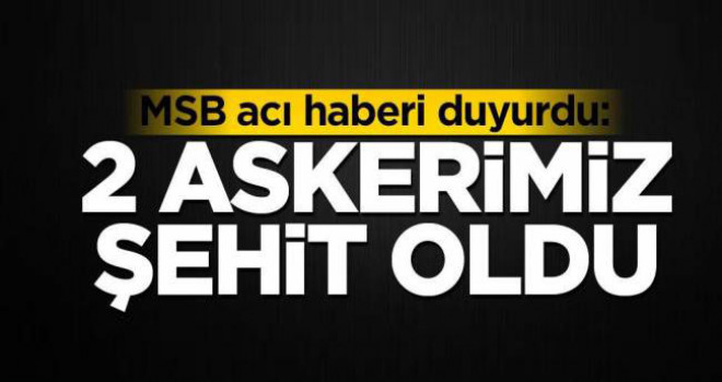 MSB'den Acı Haber: 2 Askerimiz Şehit Oldu!