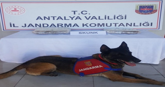 Çantasında uyuşturucu bulunan otobüs yolcusu gözaltına alındı