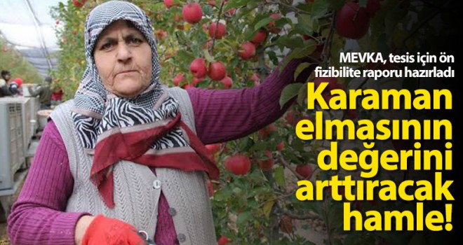 MEVKA'dan Karaman elmasının katma değerini arttıracak hamle