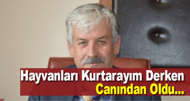 Taşkında hayvanlarını kurtarmak isterken boğulma tehlikesi geçiren öğretmen kurtarılamadı