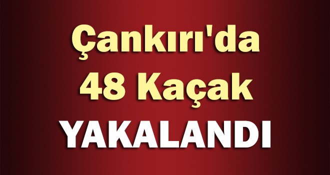 Çankırı'da 48 Kaçak Yakalandı