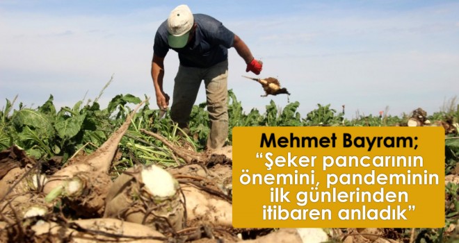 Şeker pancarı üretimi için yeni bir sorun