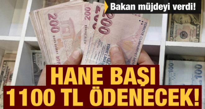 Bakan müjdeyi verdi! Hane başı 1100 lira ödenecek