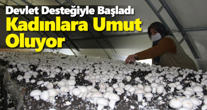 Devlet desteğiyle başlayan girişimci, kadınlara da umut oluyor