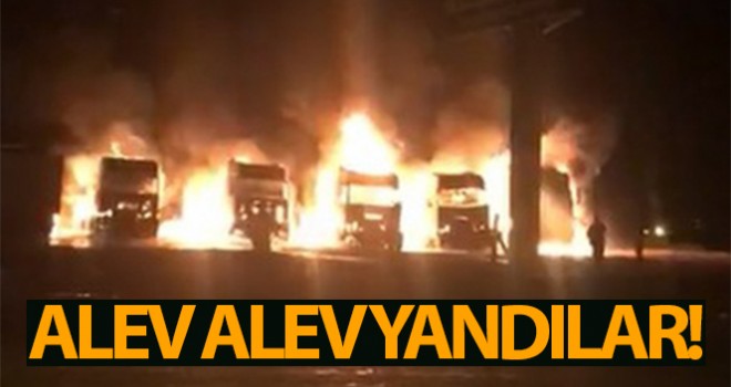 Alev alev yanan 5 tır kullanılmaz hale geldi