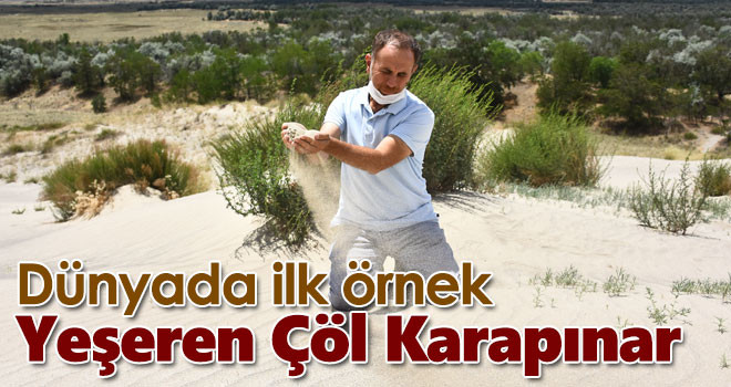 Dünyada ilk örnek: Yeşeren çöl Karapınar