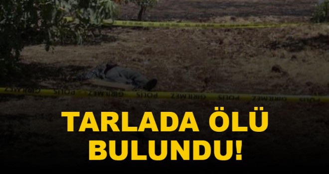 Tarlada ölü bulundu