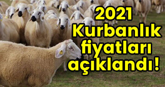 Ortalama kurbanlık fiyatları açıklandı
