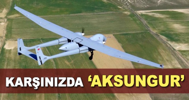 Karşınızda Aksungur