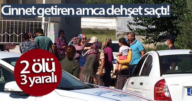 Cinnet getiren amca av tüfeğiyle dehşet saçtı: 2 ölü, 3 yaralı