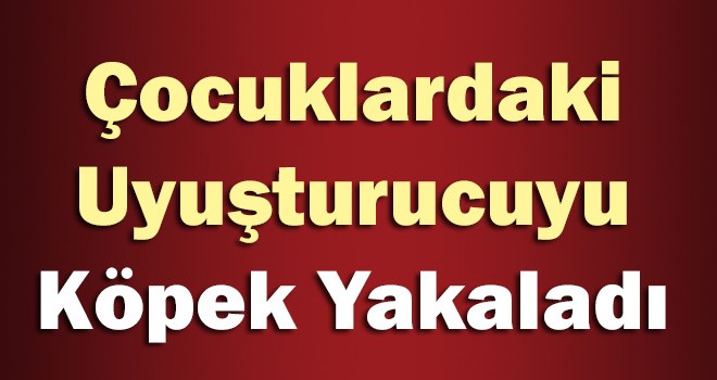 Çocuklardaki Uyuşturucuyu Köpek Yakaladı