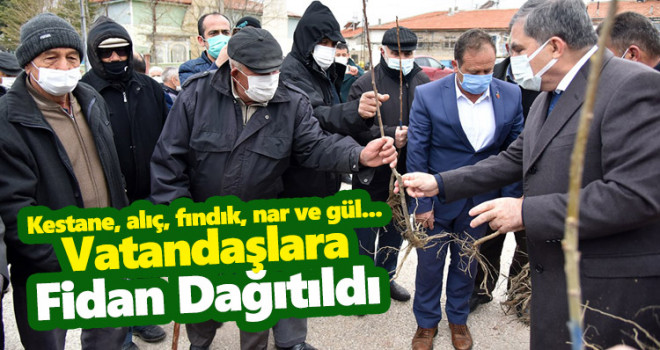 Vatandaşlara Fidan Dağıtıldı