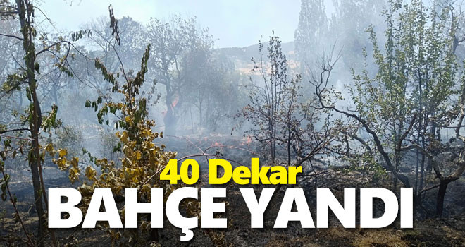 40 Dekar Bahçe Yandı