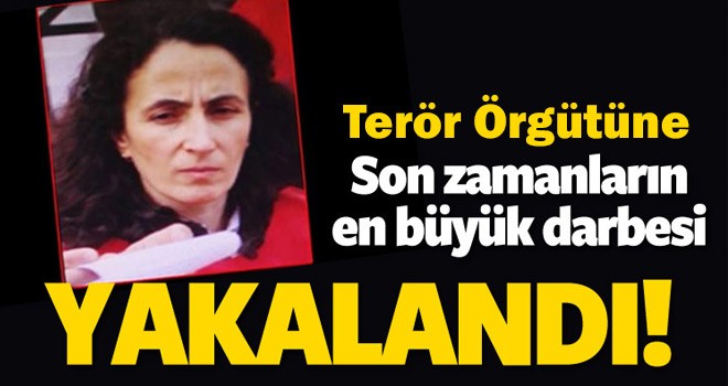 Terör Örgütünün Türkiye Sorumlusu Yakalandı