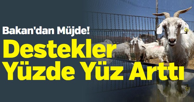 Bakan Kirişçi'den hayvancılara destek müjdesi: Yüzde yüz arttı