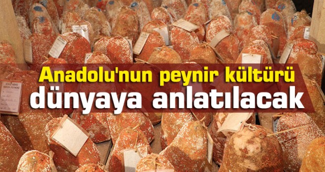 Anadolu'nun peynir kültürü dünyaya anlatılacak