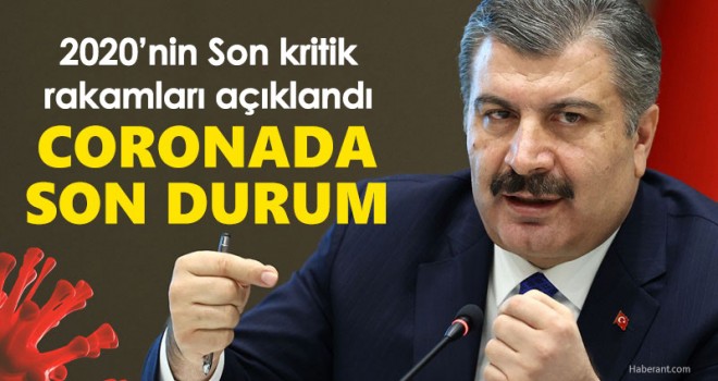 2020'nin Son Vaka Sayıları! İşte 31 Aralık koronavirüs tablosu