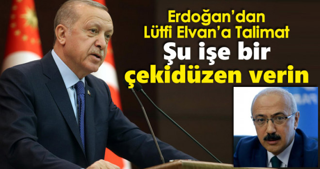 Erdoğan'dan Lütfi Elvan'a talimat: Şu işe bir çekidüzen verin