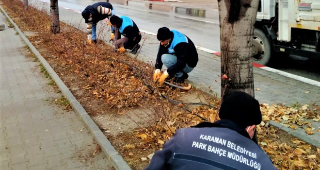 Saha Çalışmaları Farklı Noktalarda Devam Ediyor