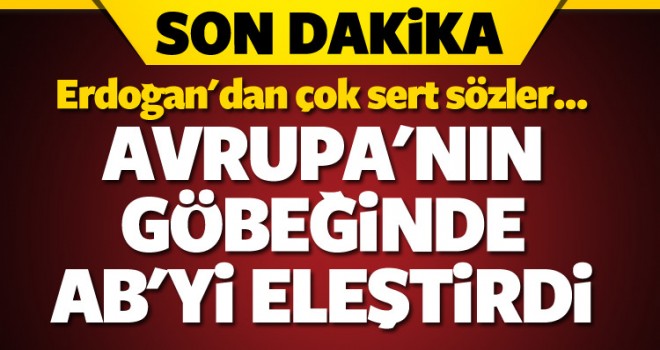 Cumhurbaşkanı Erdoğan Polonya'da AB'yi eleştirdi