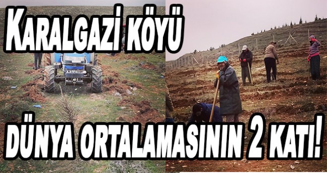 Karalgazi Köyü dünya ortalamasının 2 katı!