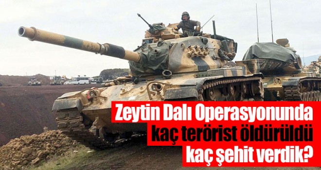 Zeytin Dalı Operasyonunda Kaç Terörist Öldürüldü