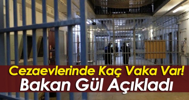 Bakan Açıkladı! Cezaevlerinde Kaç Vaka Var?