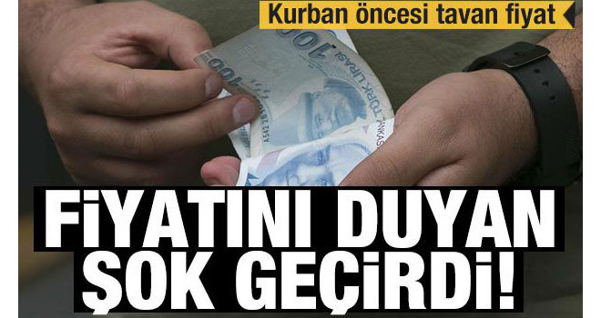 Fiyatı gören şok geçirdi! Kurban öncesi tavan fiyat