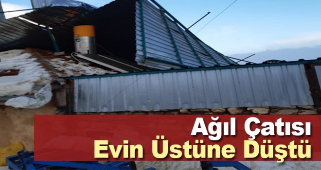 Ağıl Çatısı Evin Üstüne Düştü