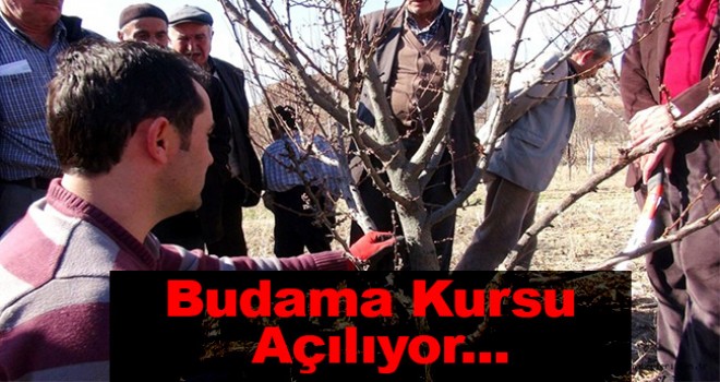Karaman'da budama kursu açılacak