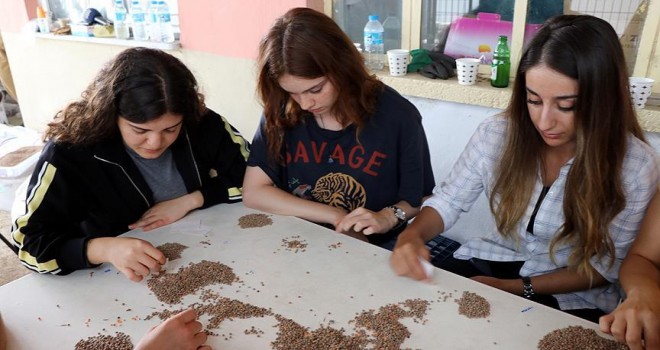 Yerli Tohumların Islahını Üniversite Öğrencileri Yapıyor
