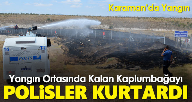Yangının ortasında kalan kaplumbağayı polisler kurtardı