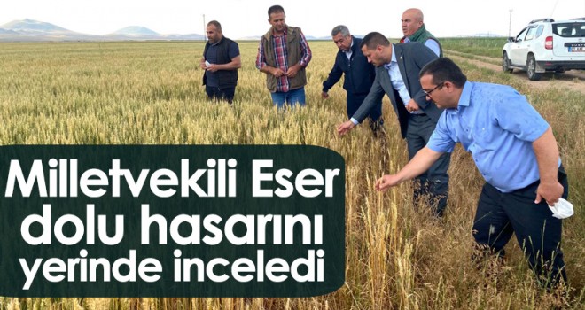 Vekil Eser Dolu Hasarını Yerinde İnceledi