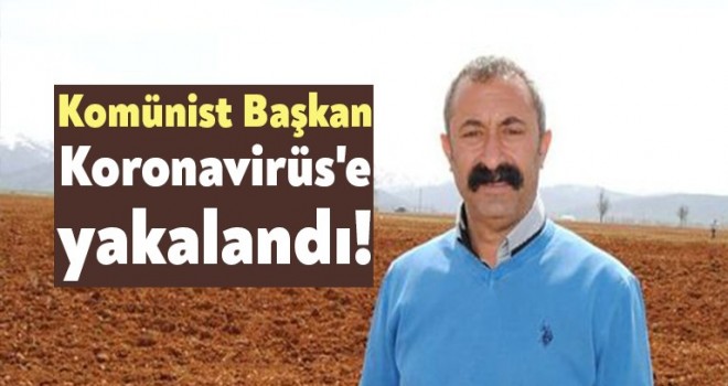 Tunceli Belediye Başkanı Fatih Mehmet Maçoğlu corona virüse yakalandı