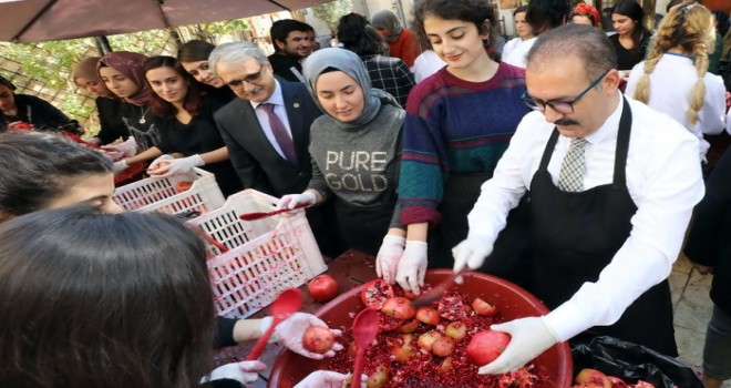 Gaün’ün Geleneksel Nar Festivali