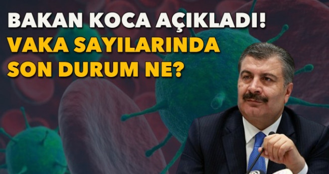 20 Mayıs koronavirüs tablosu! Vaka Sayılarında Son Durum
