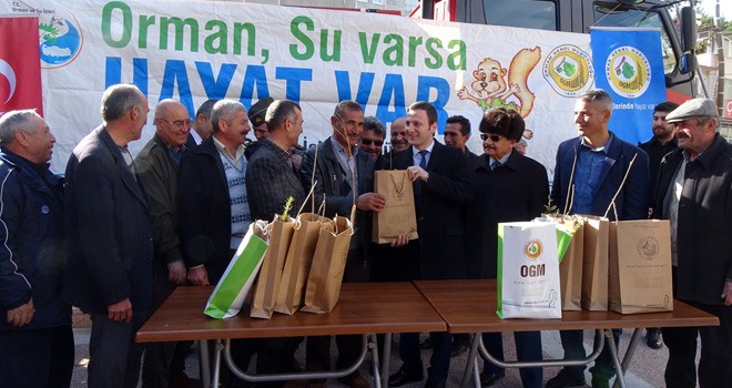 Mahalle Muhtarlarına Ücretsiz Fidan Dağıtıldı