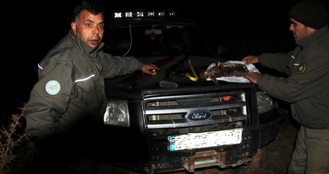 Far Avına 21 Bin TL Ceza