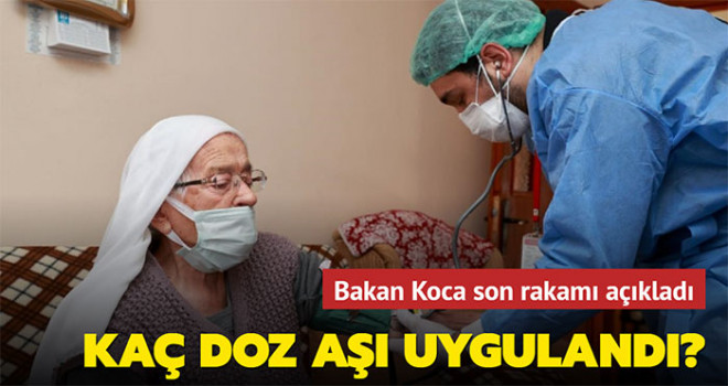 Bakan Koca son aşı rakamlarını açıkladı!