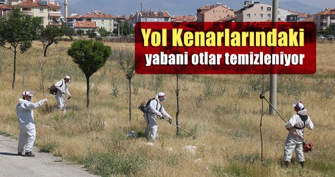 Yol Kenarlarındaki Yabani Otlar Temizleniyor