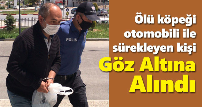 Ölü köpeği otomobile bağlayarak sürükleyen kişi gözaltına alındı