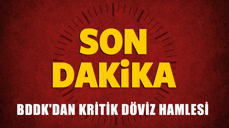 BDDK'dan Kritik Döviz Hamlesi