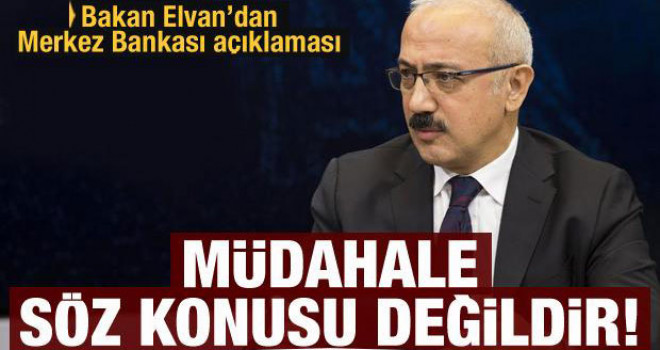 Bakan Elvan: Merkez Bankası’na müdahale söz konusu değildir