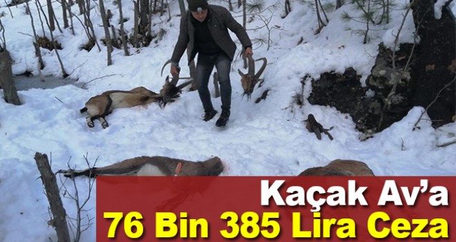 Antalya'da 3 yaban keçisini vuran 5 kişiye 76 bin lira ceza