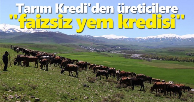 Tarım Kredi'den üreticilere 'faizsiz yem kredisi'