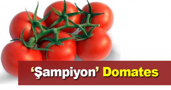 Batı Akdeniz'in ihracat şampiyonu 