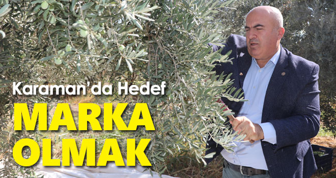 Karaman'da hedef zeytin ve zeytinyağı üretiminde marka olmak