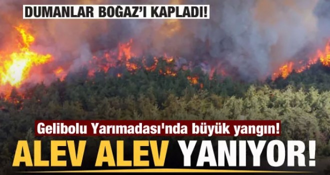 Gelibolu Yarımadası'nda büyük yangın!
