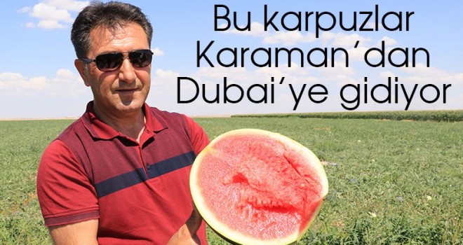 Dubai'nin karpuzu Karaman'dan